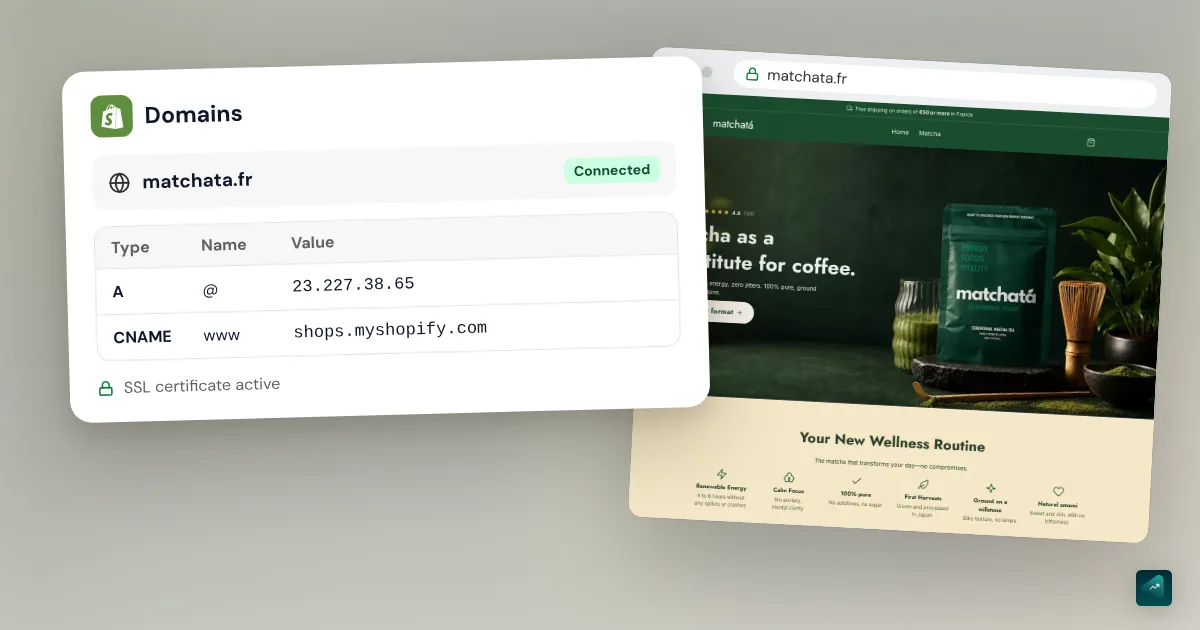 Shopify Domain Name: Price, the Free Option and How to Connect Yours